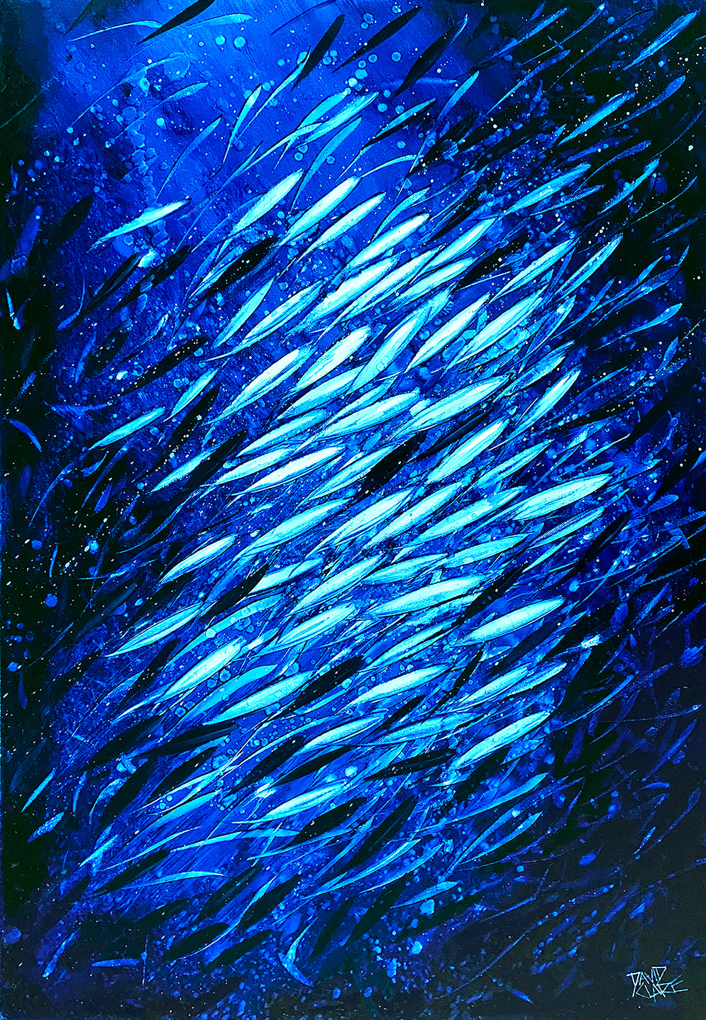 A School Of Fish