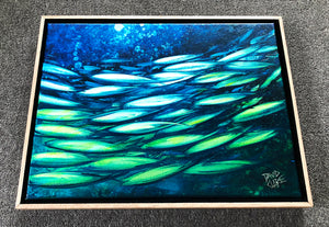 Fish School Mini 3
