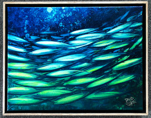 Fish School Mini 3