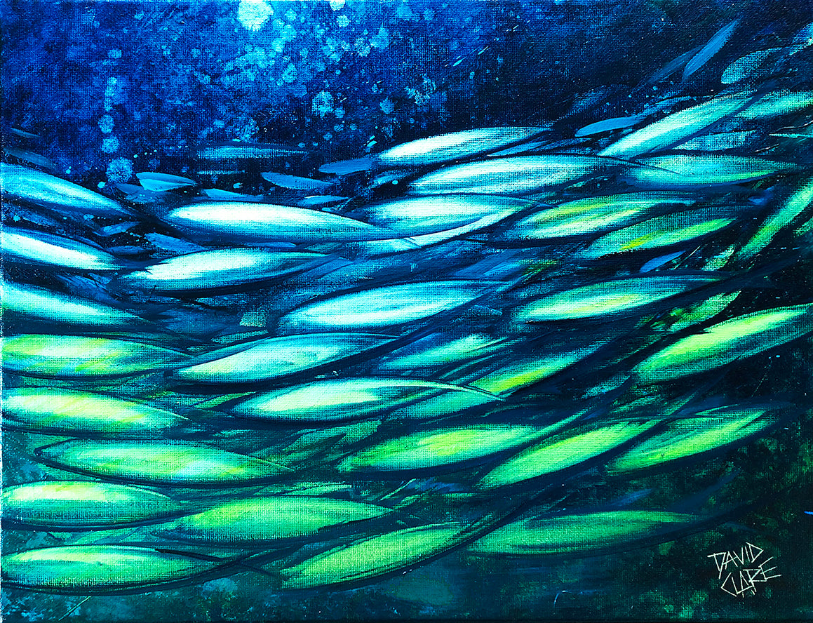 Fish School Mini 3
