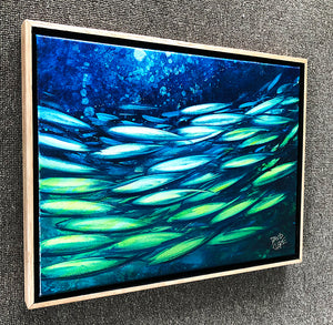 Fish School Mini 3