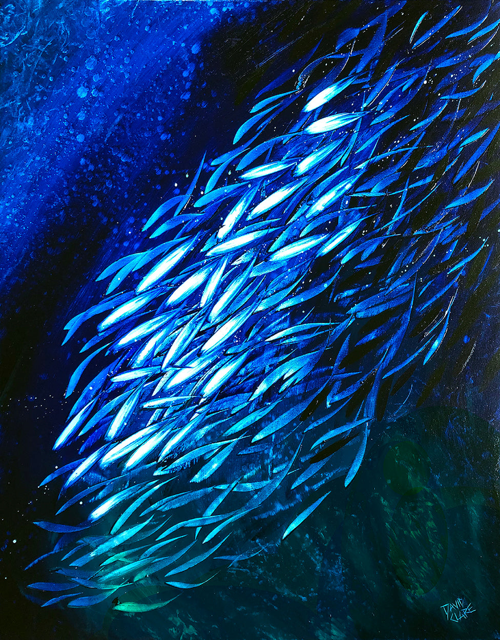School Of Fish