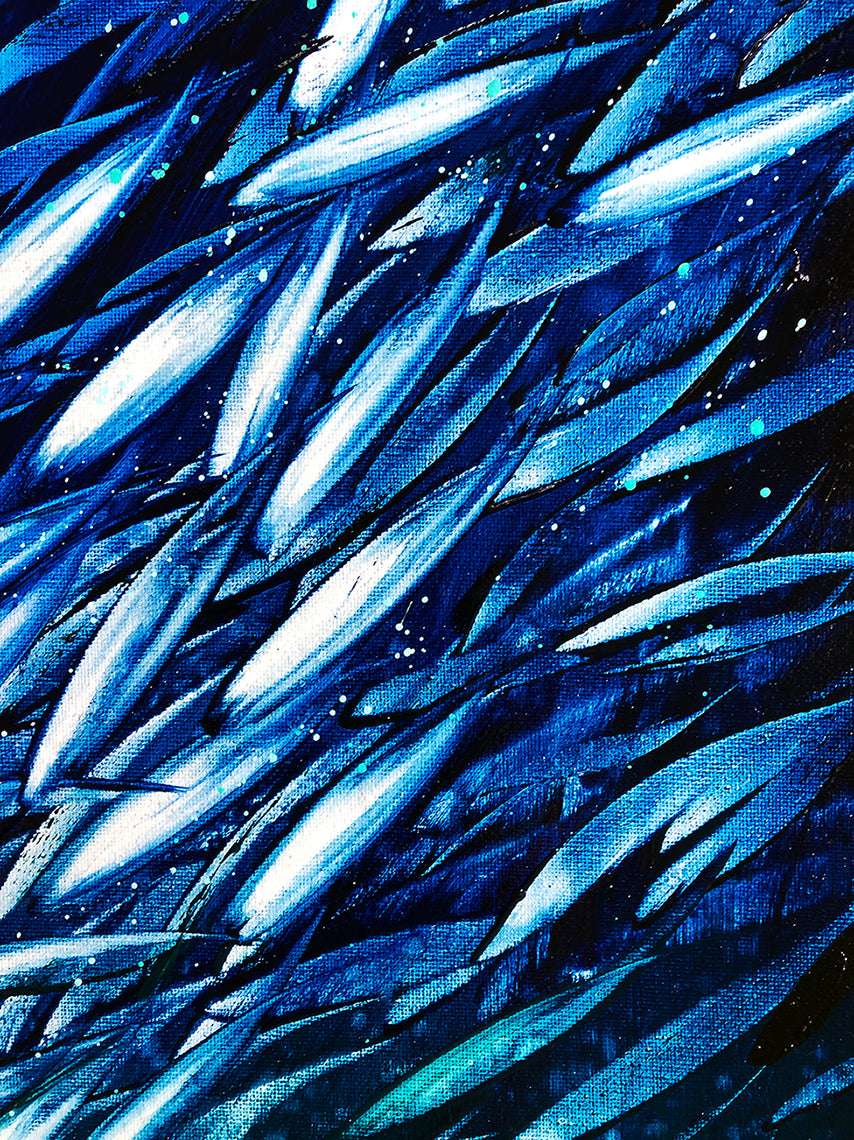 Close up view, showing the detail, or lack of, as the fish flash by.