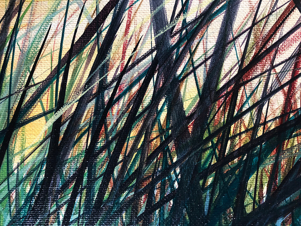 Beach Grass In The Sunset