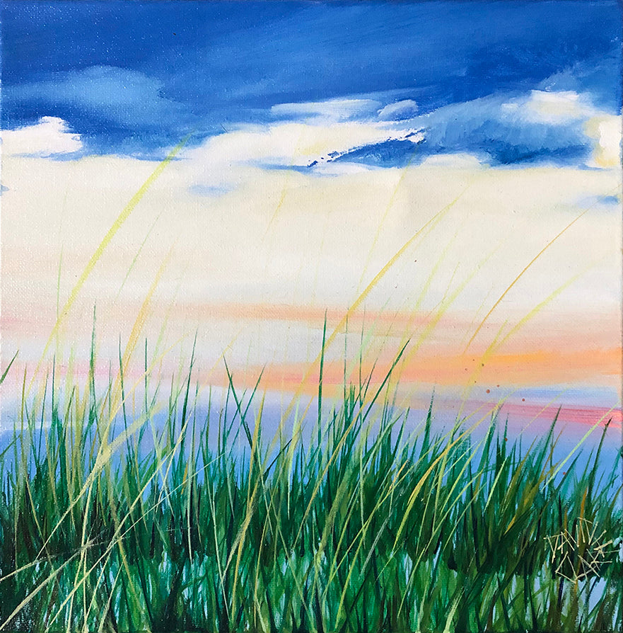 Beach Grass With Dark Sky