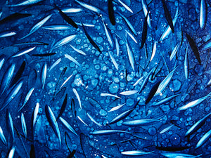 Blue Rinse