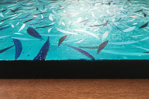 Catch N Release
