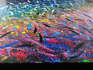 Coral Reef