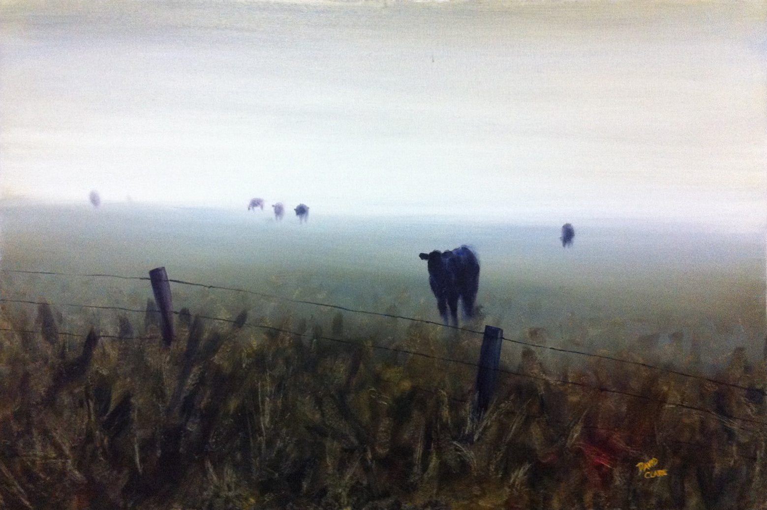 Cows In The Mist 2