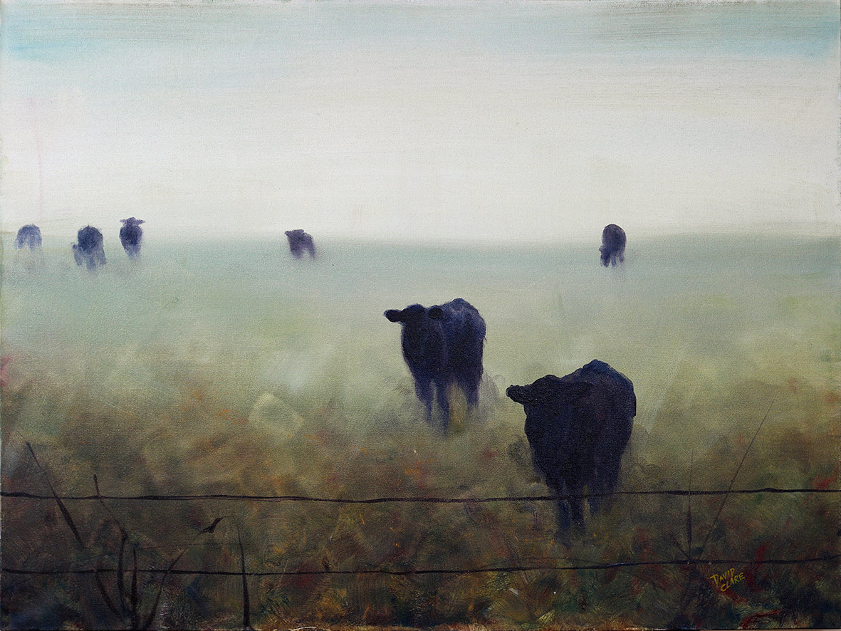 Cows In The Mist