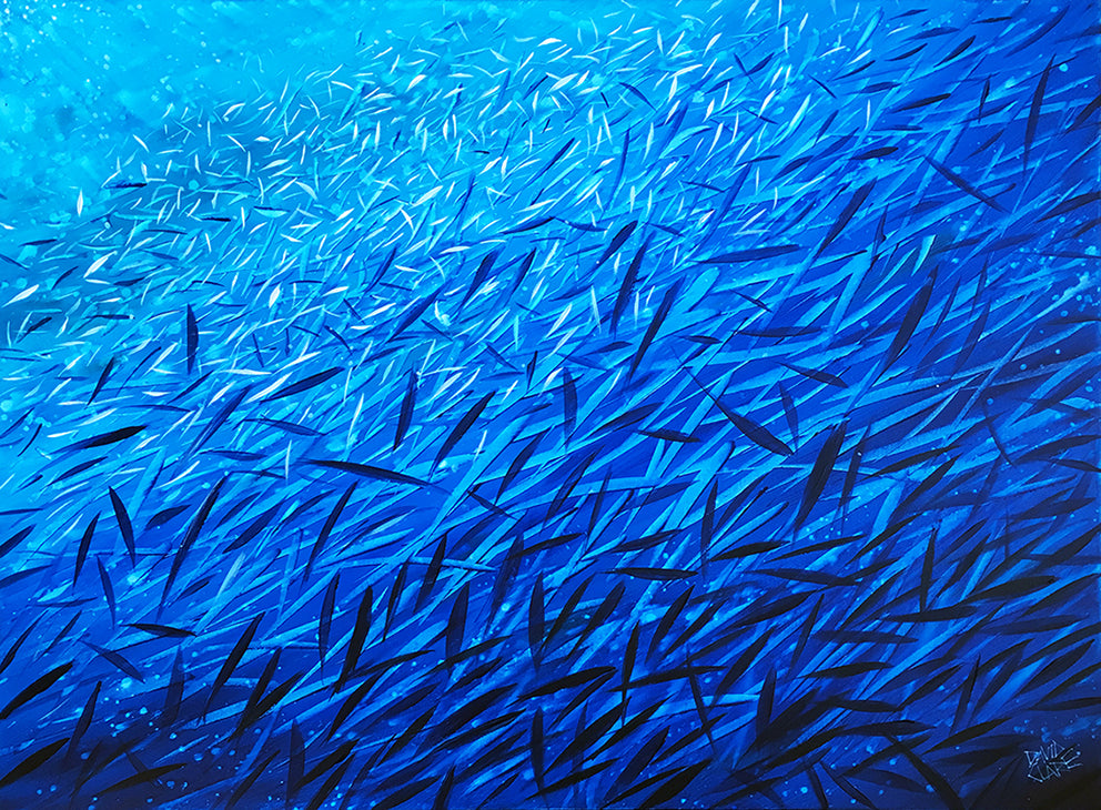 Fish Frenzy Large