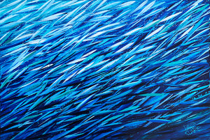 Fish Frenzy