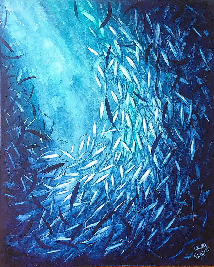 Fish Highlight 2