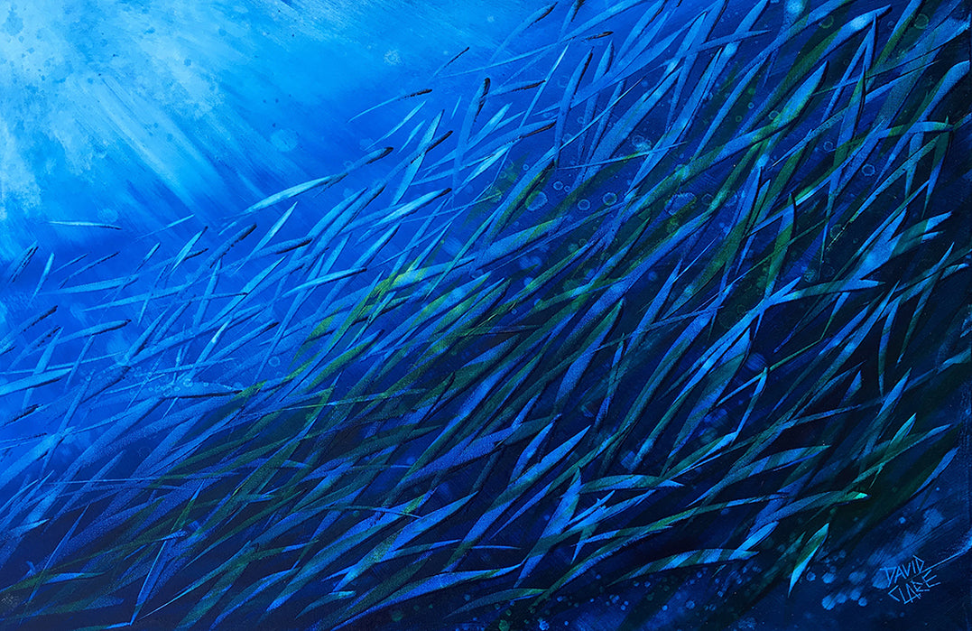 Fish School 10