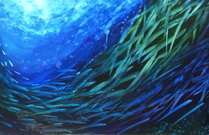 Fish School 2