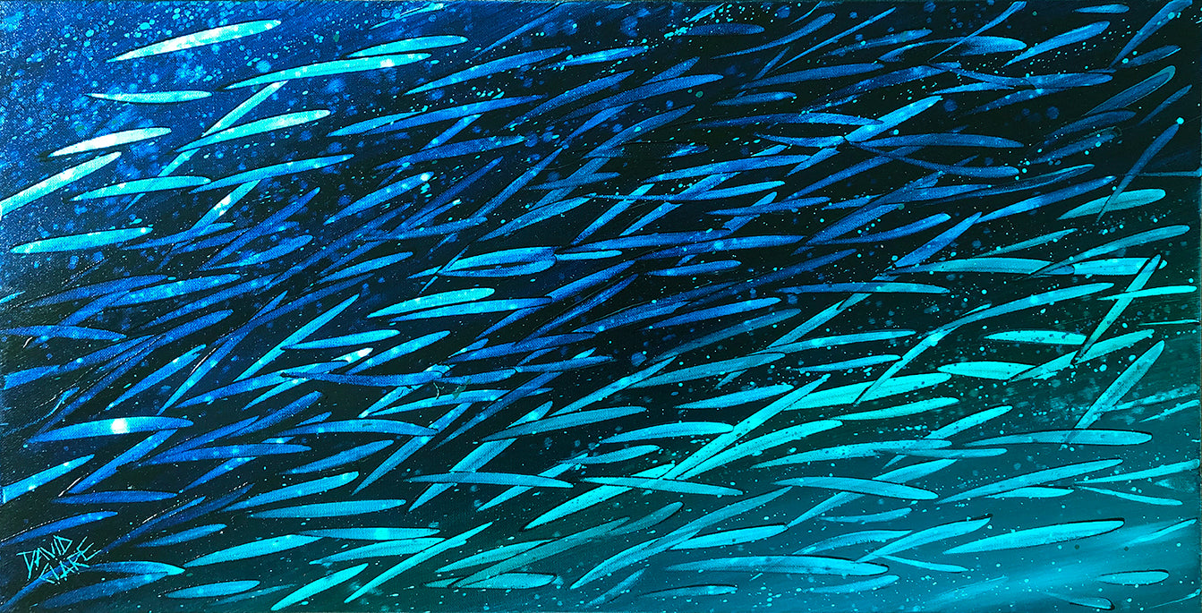 Fleeting Fish