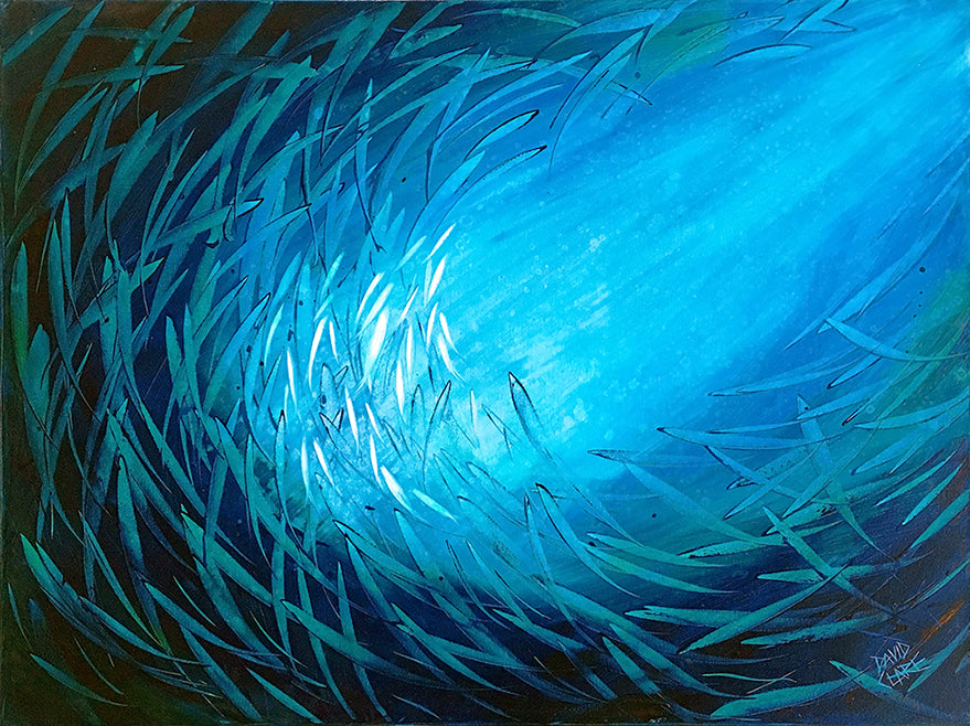 Just Keep Swimming 17