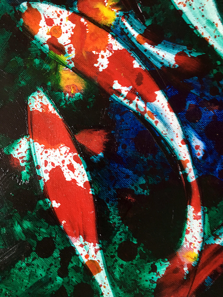 Koi Swimming Upstream