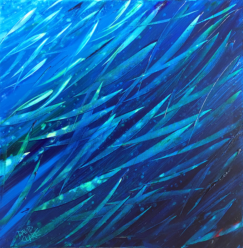 Little Blue Fish Square