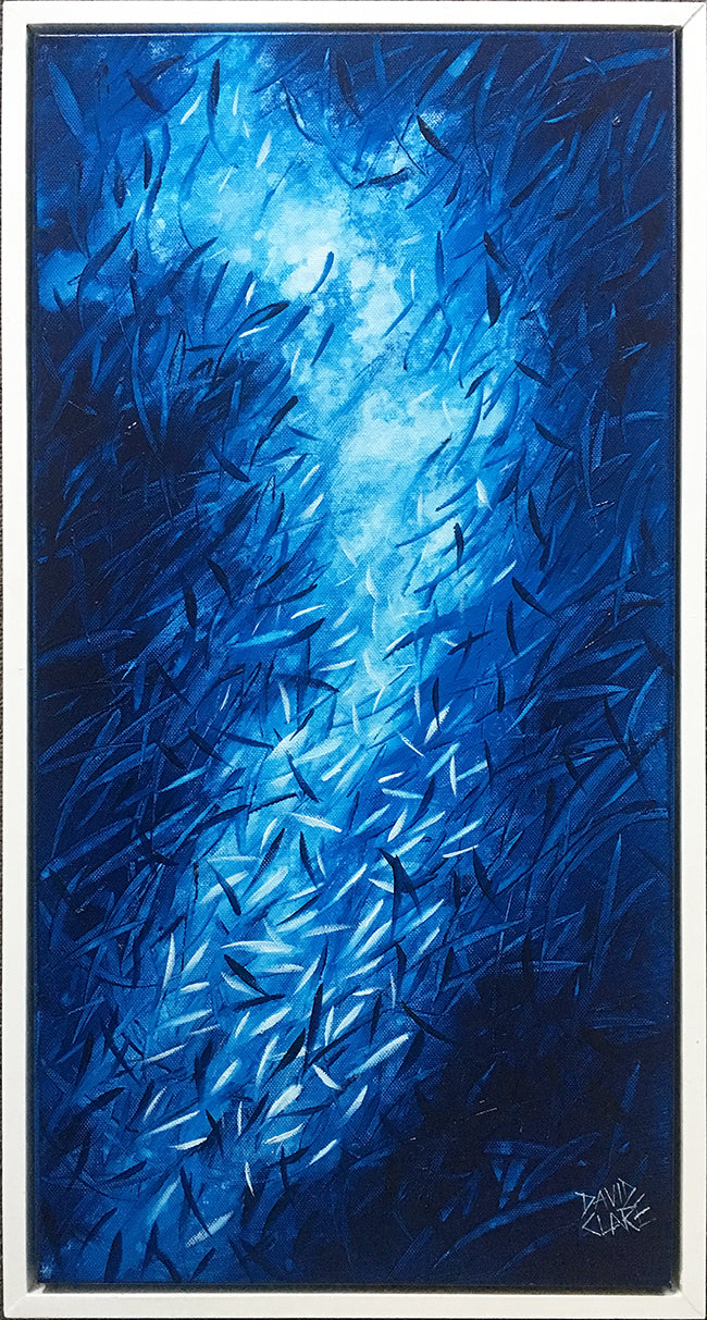 Little Fish In Blue