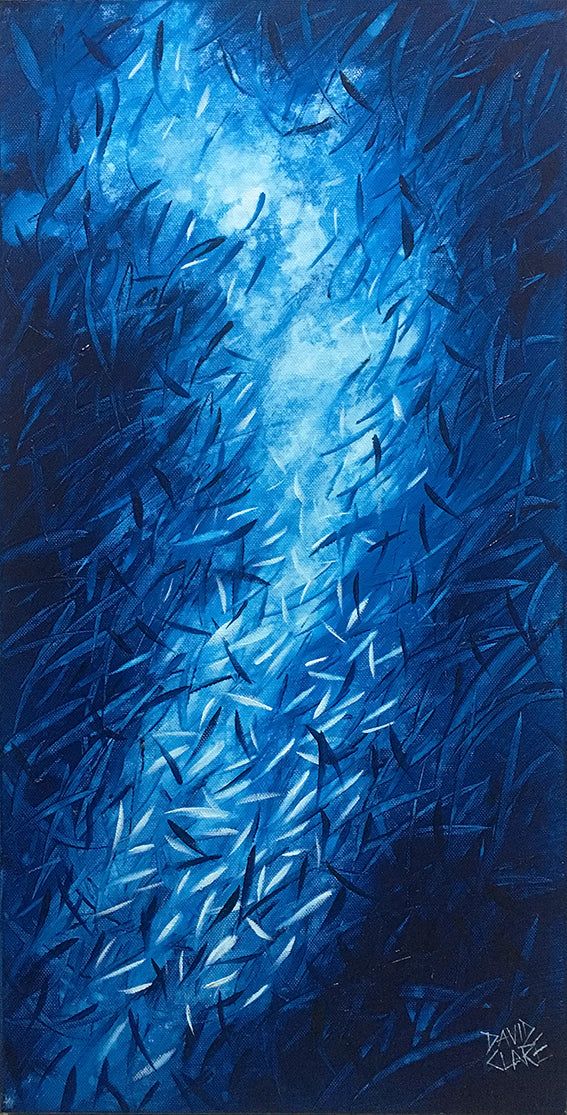 Little Fish In Blue