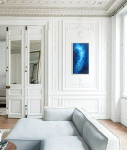 Little Fish In Blue