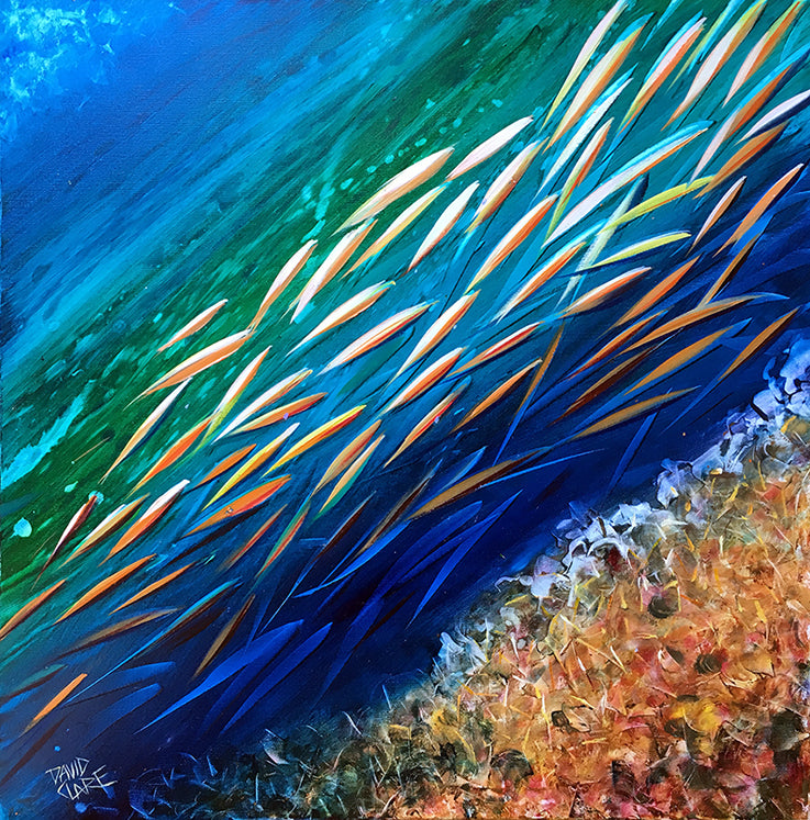 Little Orange Fish