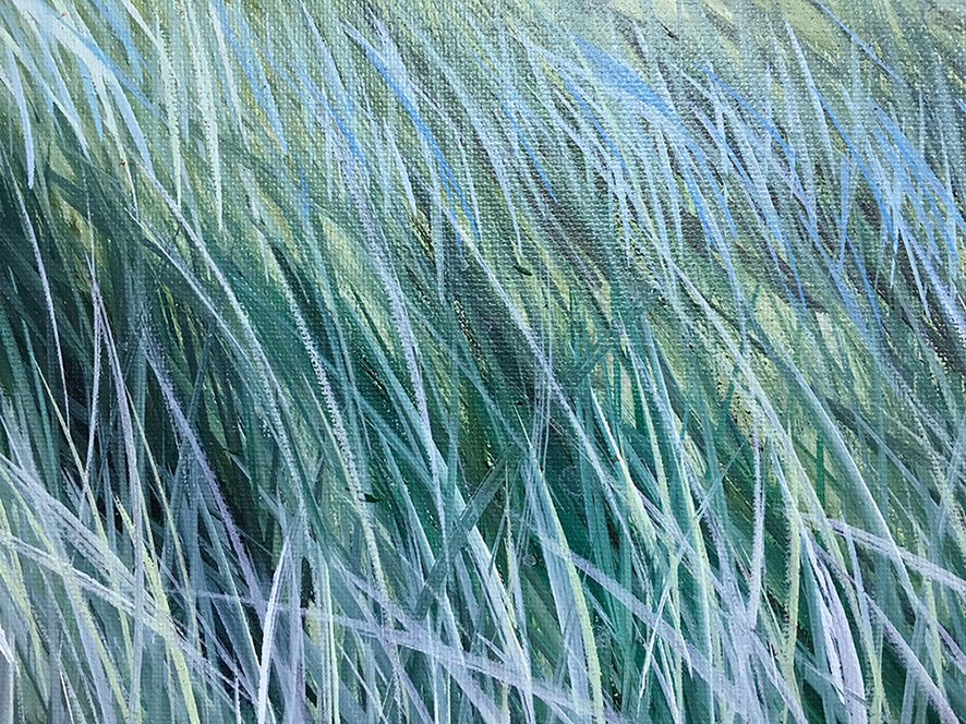 Ocean Breeze