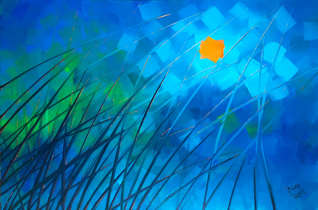Sun Through The Grass