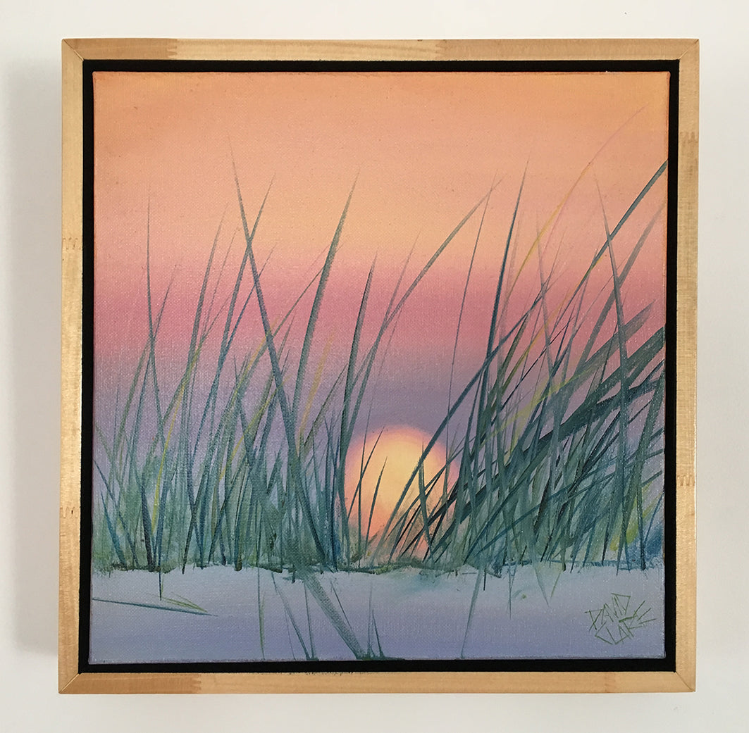 Sunset Through The Grass