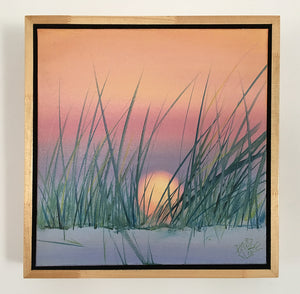 Sunset Through The Grass