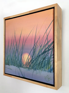 Sunset Through The Grass