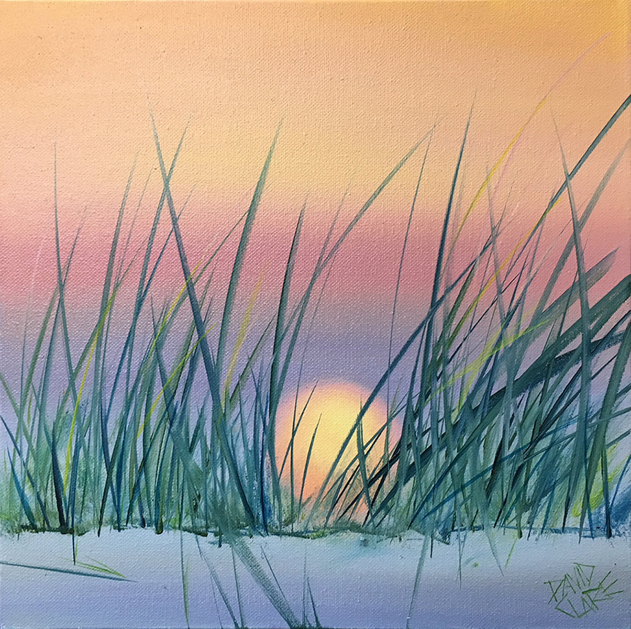 Sunset Through The Grass