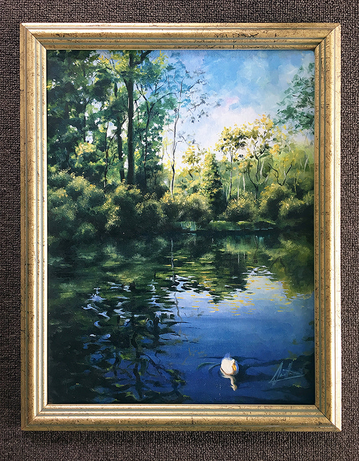 Two Ducks