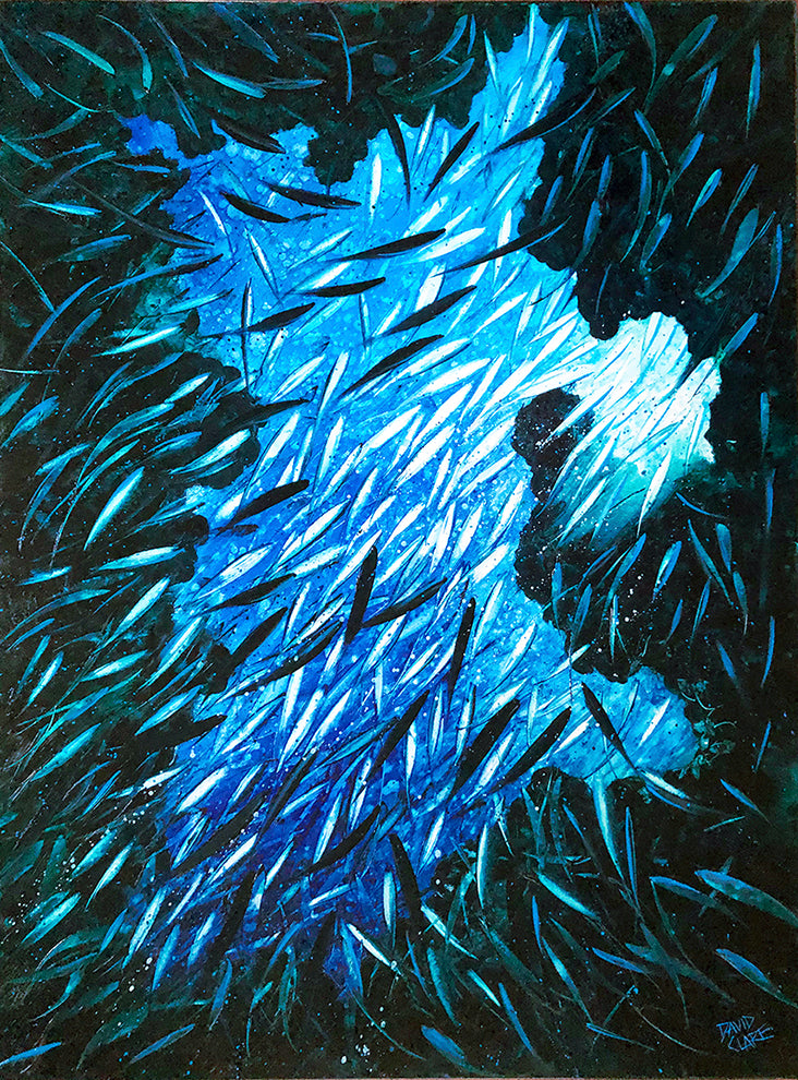 Under The Sea