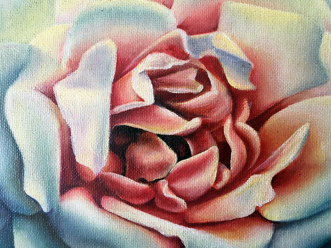 White Roses