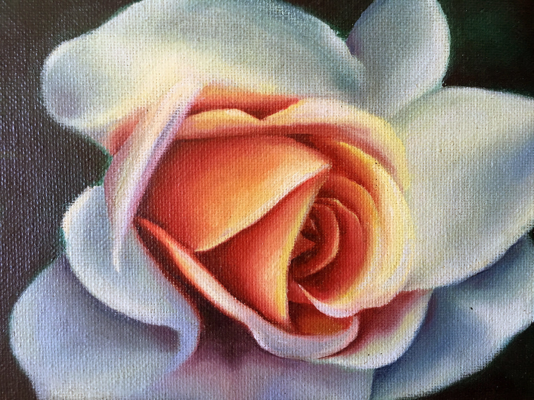 White Roses