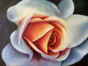 White Roses