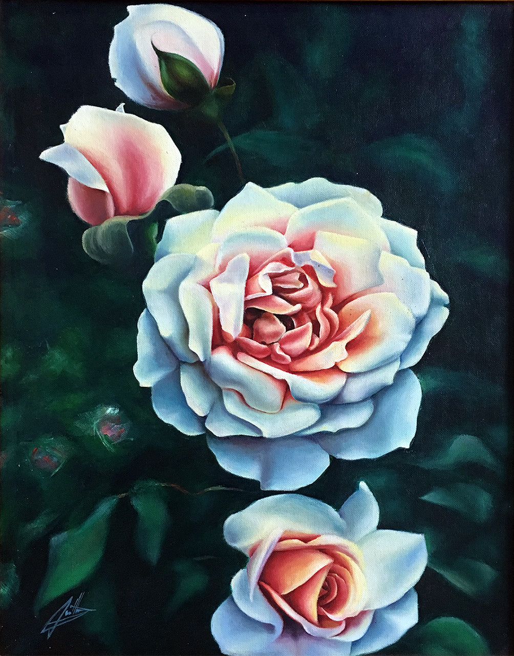 White Roses